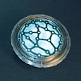 19-4-cellular-structure_w